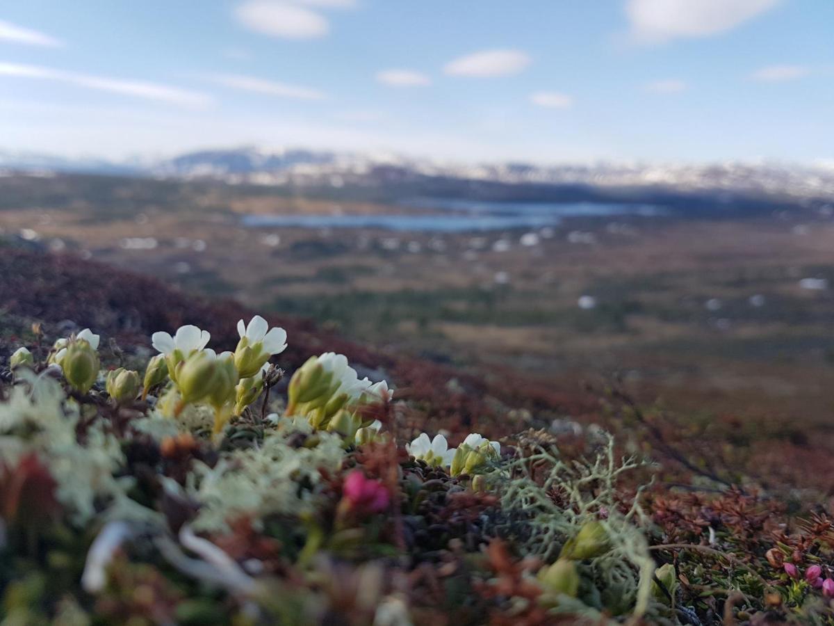 Renfjaellsgarden Pansiyon Edsasdalen Dış mekan fotoğraf