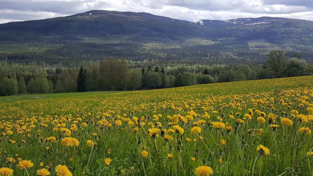Renfjaellsgarden Pansiyon Edsasdalen Dış mekan fotoğraf