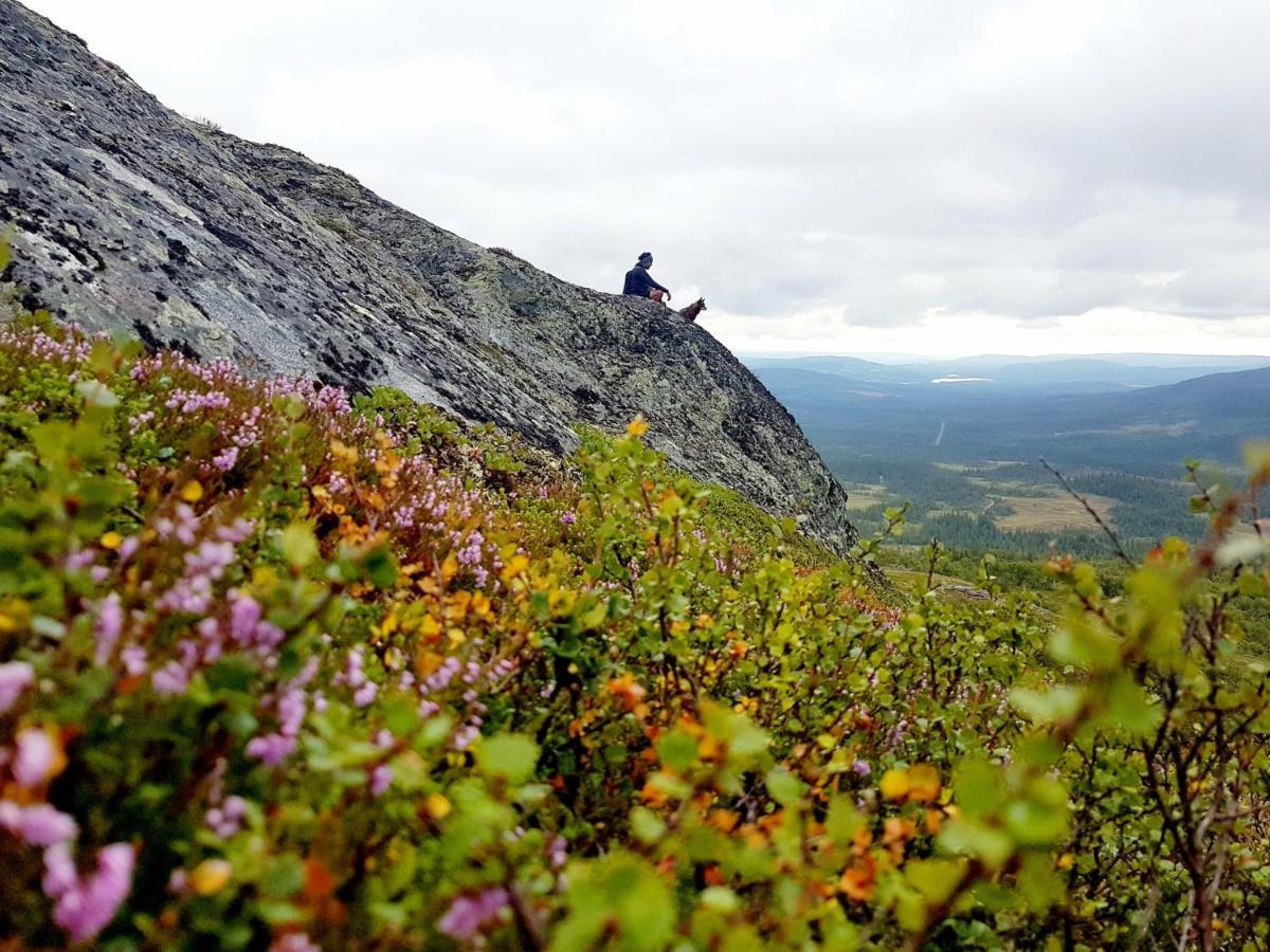 Renfjaellsgarden Pansiyon Edsasdalen Dış mekan fotoğraf