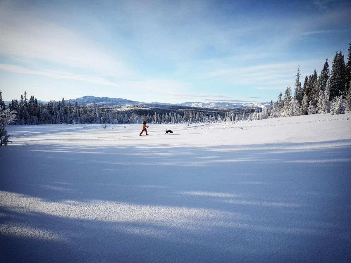 Renfjaellsgarden Pansiyon Edsasdalen Dış mekan fotoğraf